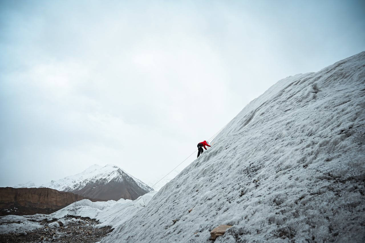 budowanie autorytetu domeny w Google.de