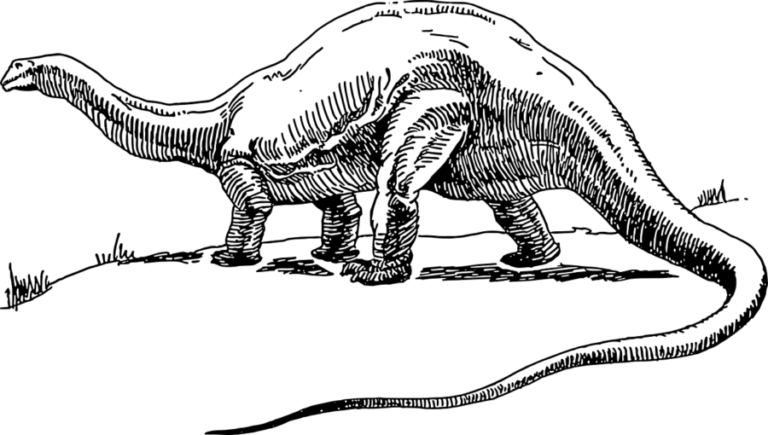 pozycjonowanie long tail dla sklepow internetowych